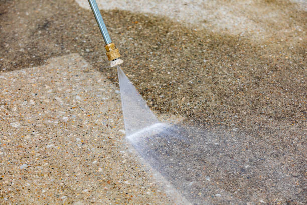 Best Pre-Holiday Cleaning  in Clendenin, WV