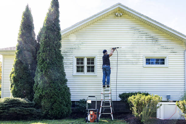 Best Boat and Dock Cleaning  in Clendenin, WV